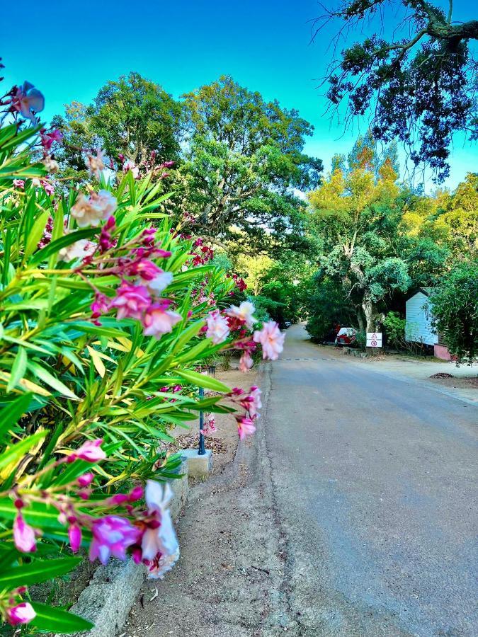 Camping Les Ilots D'Or Porto-Vecchio  Exterior foto